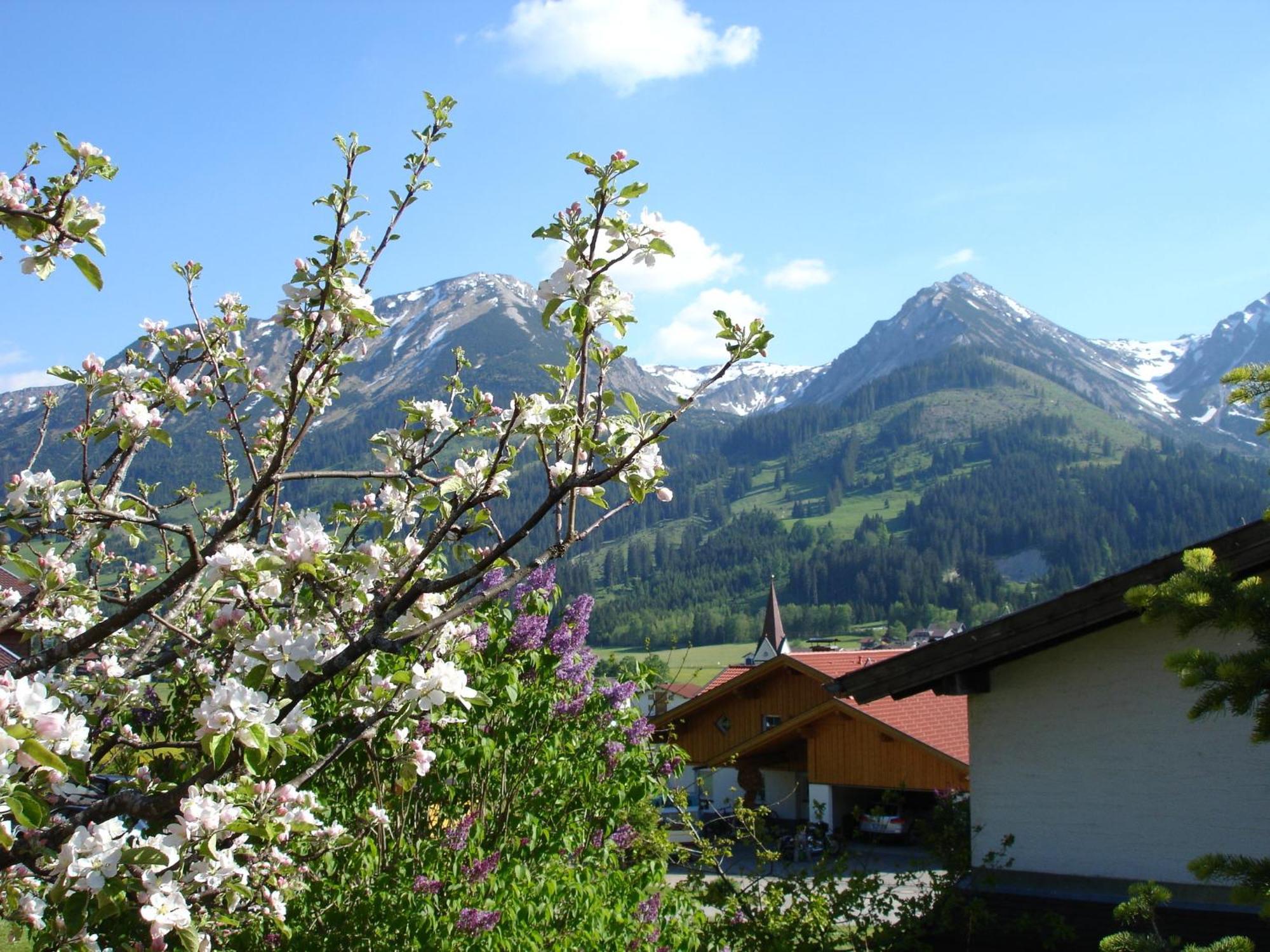 Auf Der Sonnenseite Apartment Schattwald Luaran gambar