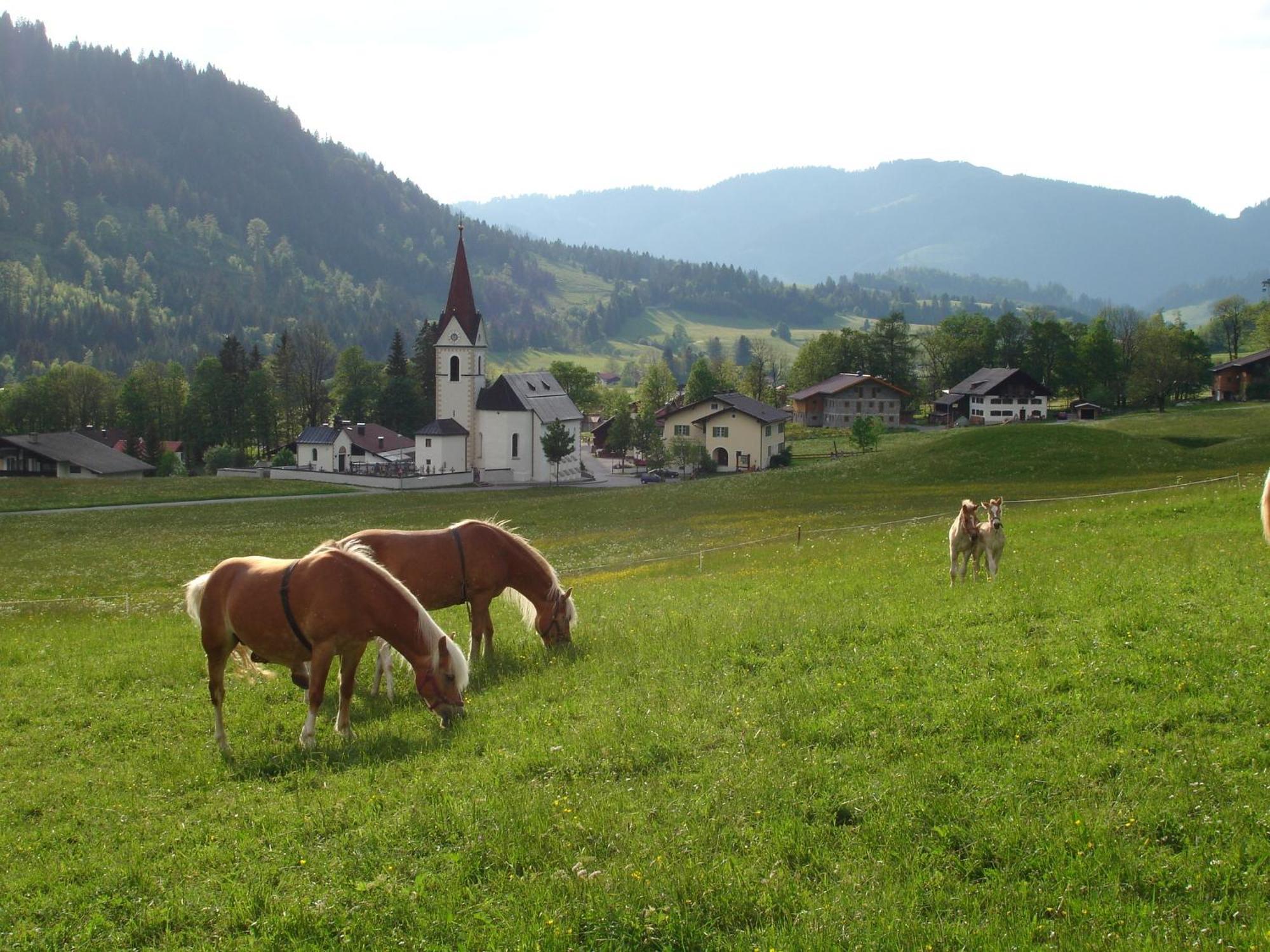 Auf Der Sonnenseite Apartment Schattwald Luaran gambar